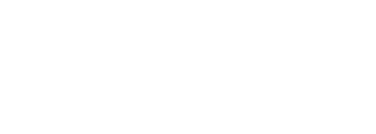 Zaaton FM Radio White